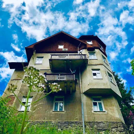 60 M2 Cosy In Alter Am Semmering